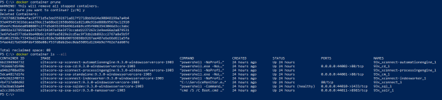 prunecontainers